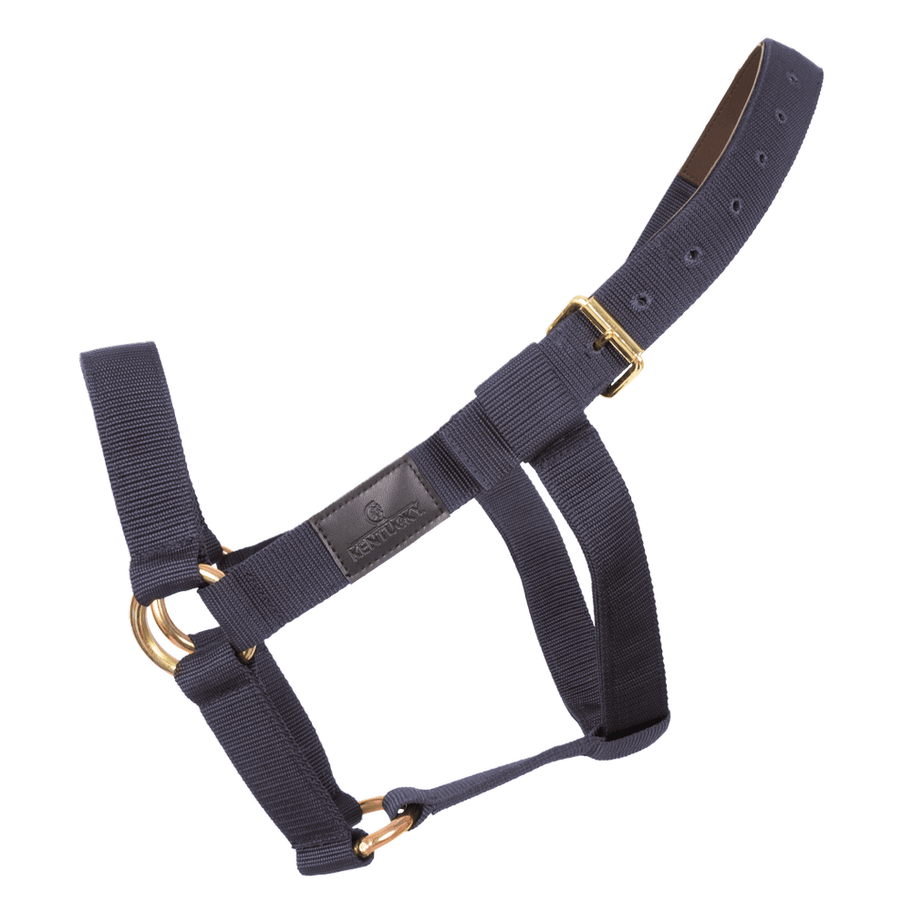 Heavy Duty Halter Navy Cob