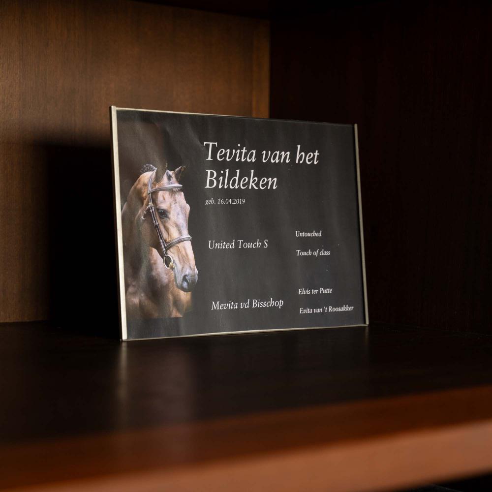 Navneskilt til stall i bruk