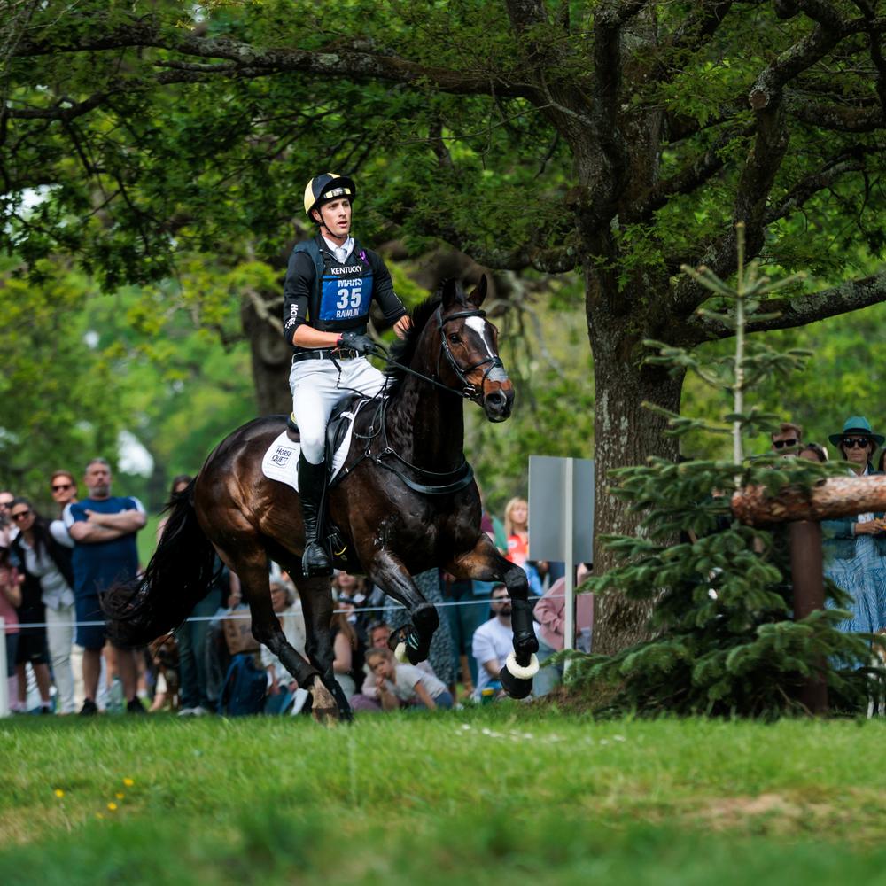 Kentucky Eventing Bib