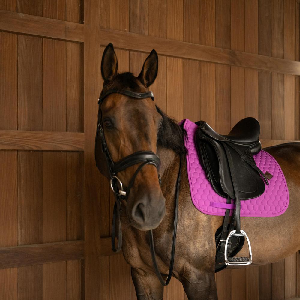 Kentucky Dressursjabrak Pro Classic - Lilla