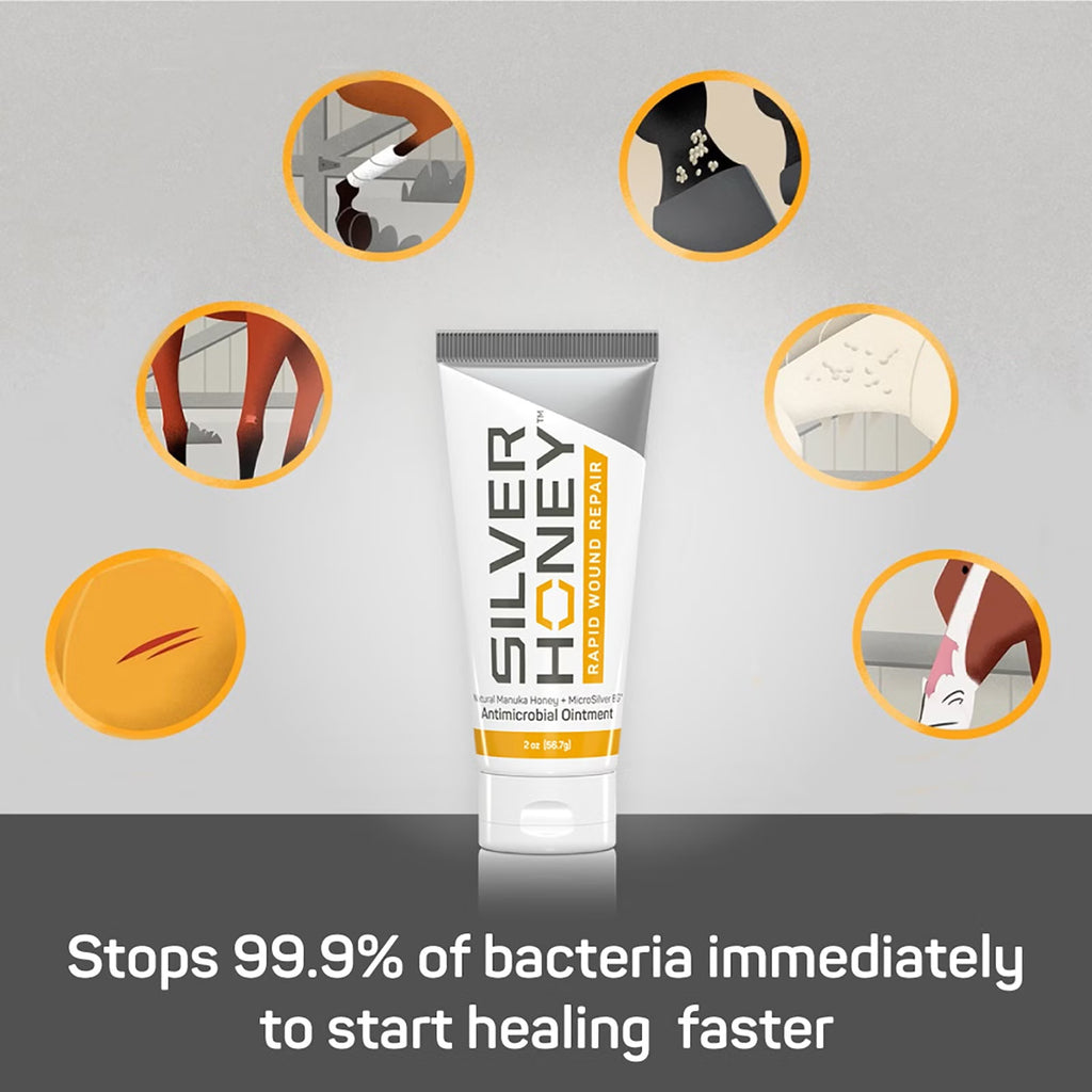 Silver Honey Ointment
