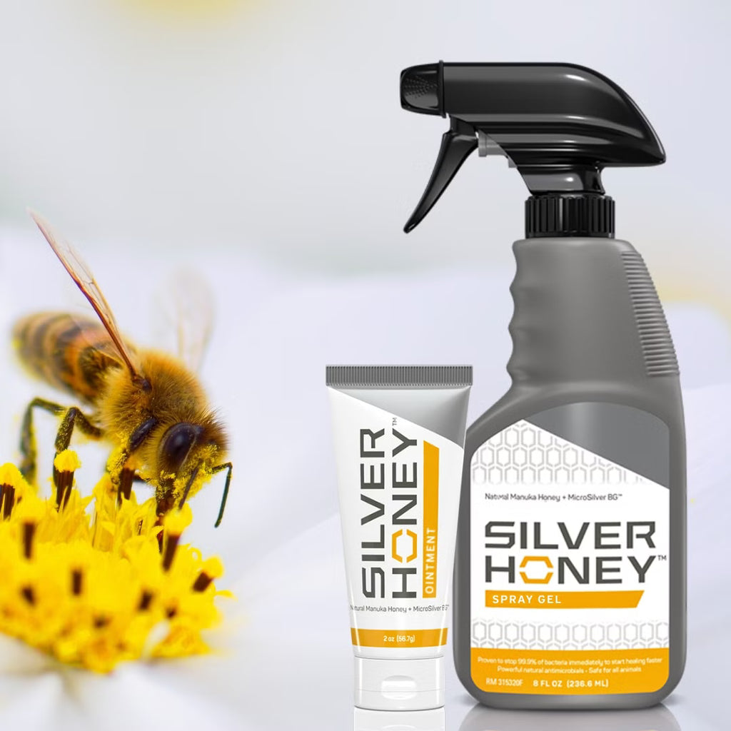 Silver Honey Ointment