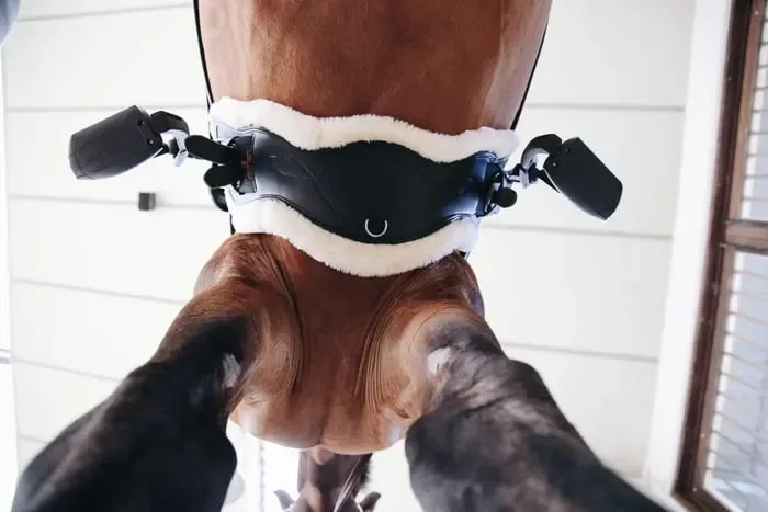 Kentucky Sheepskin Anatomic Short Girth - Løwenborg - Kentucky Horsewear