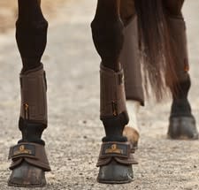 Kentucky Solimbra D30 Overreach Boots - Løwenborg - Kentucky Horsewear