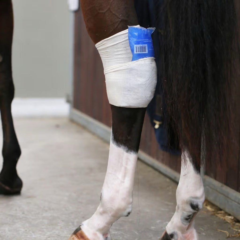 Kentucky Tendon Grip - Løwenborg - Kentucky Horsewear
