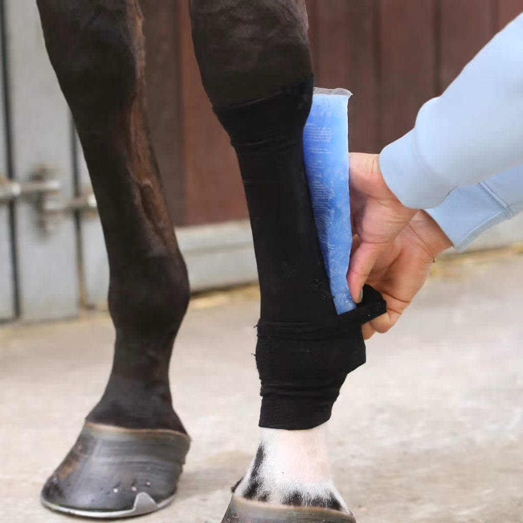 Kentucky Tendon Grip - Løwenborg - Kentucky Horsewear