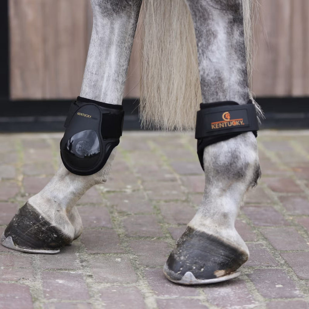 Kentucky Young Horses Fetlock Boots - Løwenborg - Kentucky Horsewear