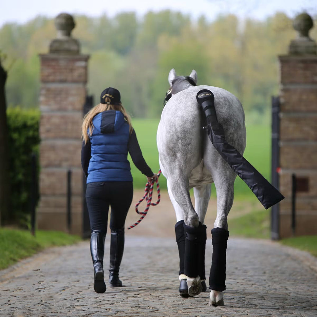 Kentucky Wool Bandage - Løwenborg - Kentucky Horsewear