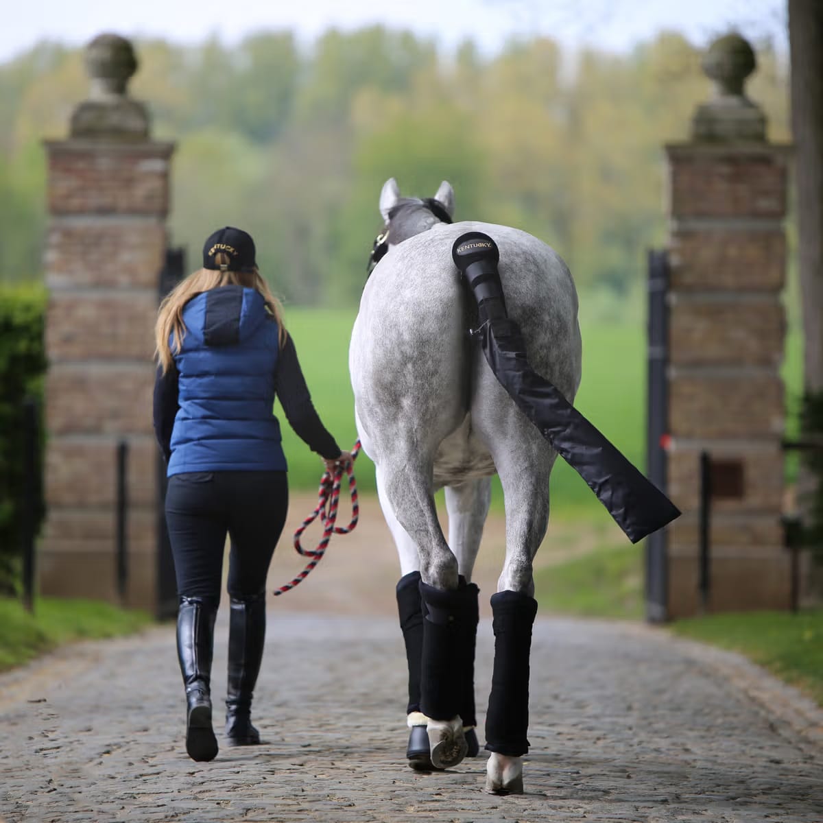 Kentucky Stable Bandage Pad