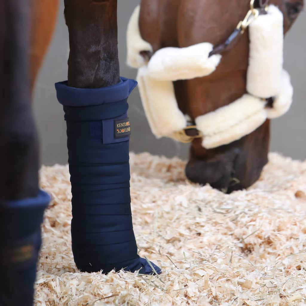 Kentucky Stable Bandage Pad - Løwenborg - Kentucky Horsewear