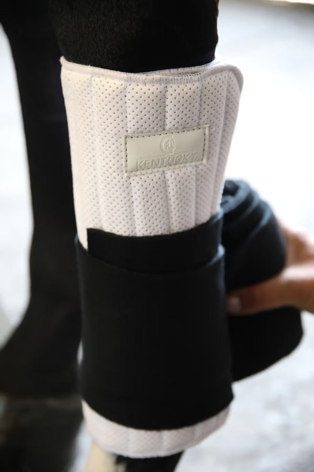 Kentucky Working Bandage Pad Absorb - Løwenborg - Kentucky Horsewear