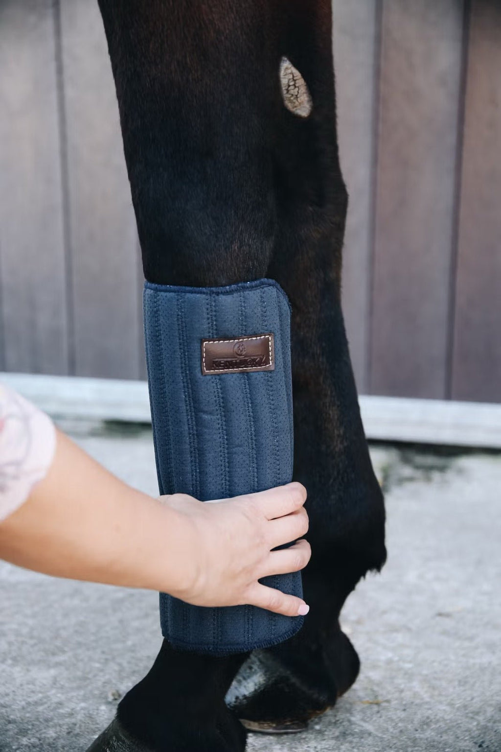 Kentucky Working Bandage Pad Absorb - Løwenborg - Kentucky Horsewear