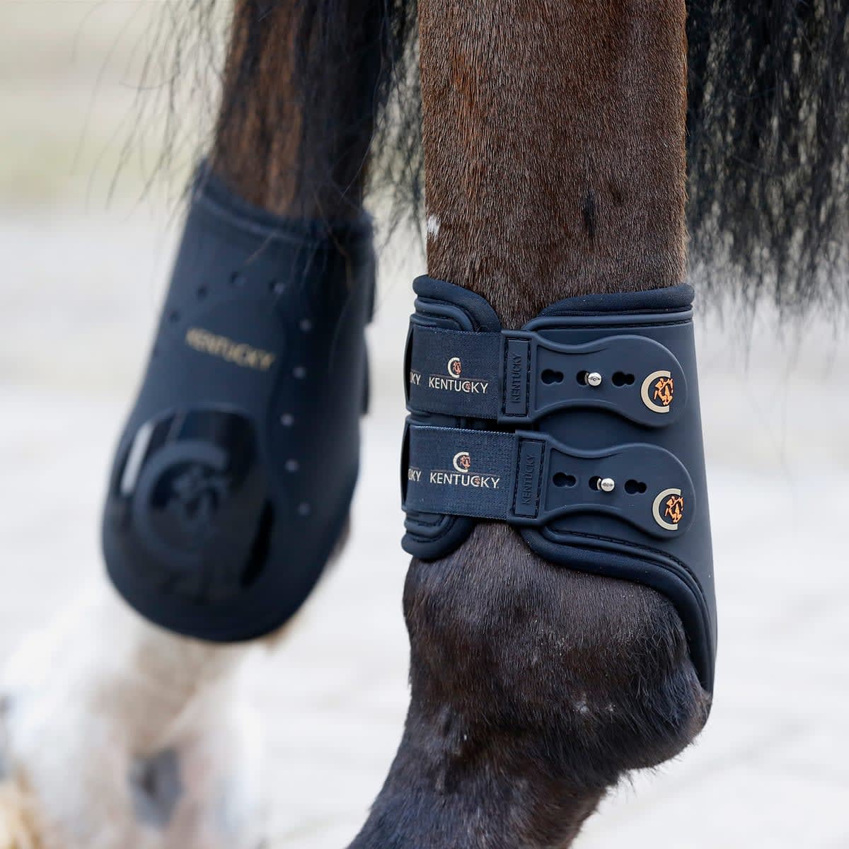 Kentucky Fetlock Boots Elastic