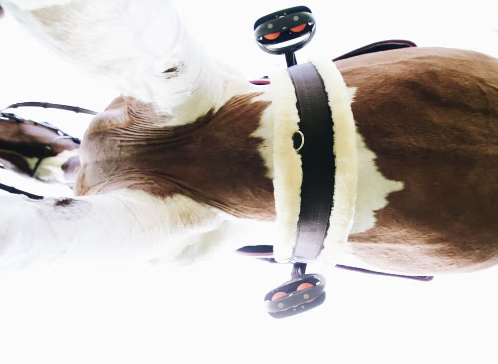 Kentucky Sheepskin Girth - Løwenborg - Kentucky Horsewear