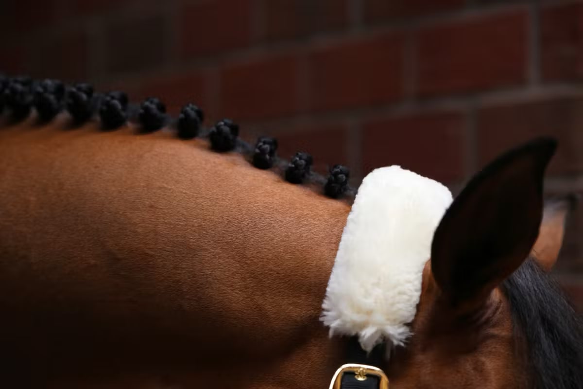 Kentucky Sheepskin Shipping Halter - Løwenborg - Kentucky Horsewear