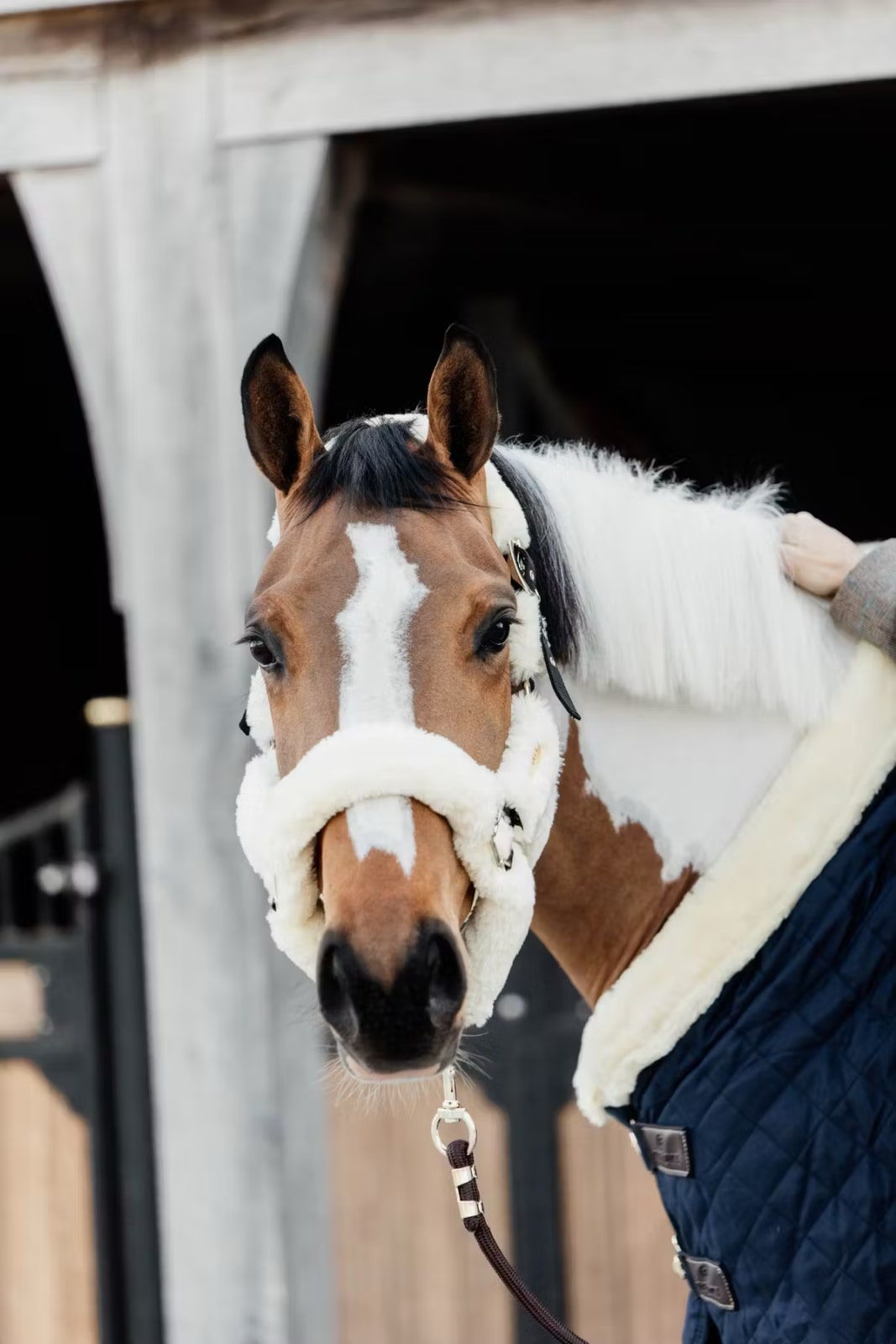 Kentucky Sheepskin Shipping Halter - Løwenborg - Kentucky Horsewear