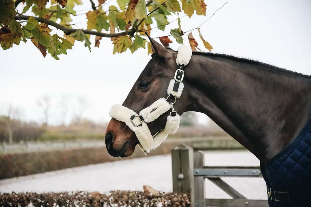 Kentucky Sheepskin Shipping Halter - Løwenborg - Kentucky Horsewear