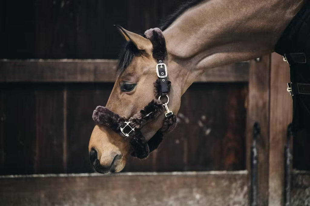 Kentucky Sheepskin Shipping Halter - Løwenborg - Kentucky Horsewear