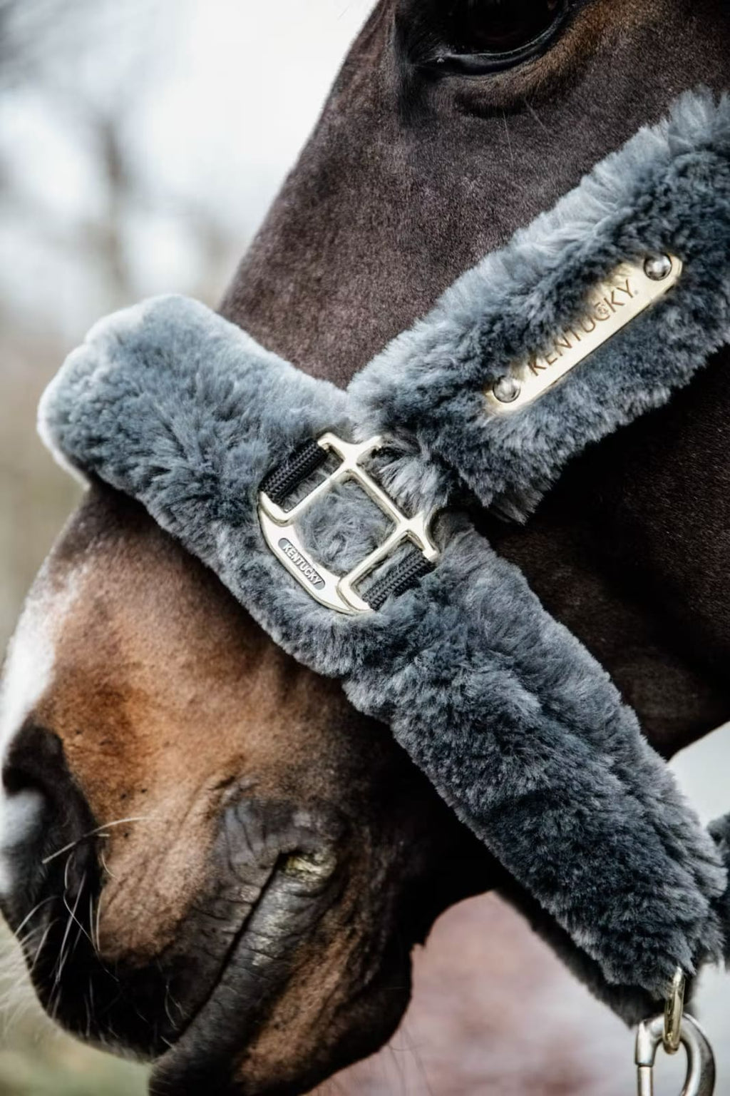 Kentucky Sheepskin Shipping Halter - Løwenborg - Kentucky Horsewear