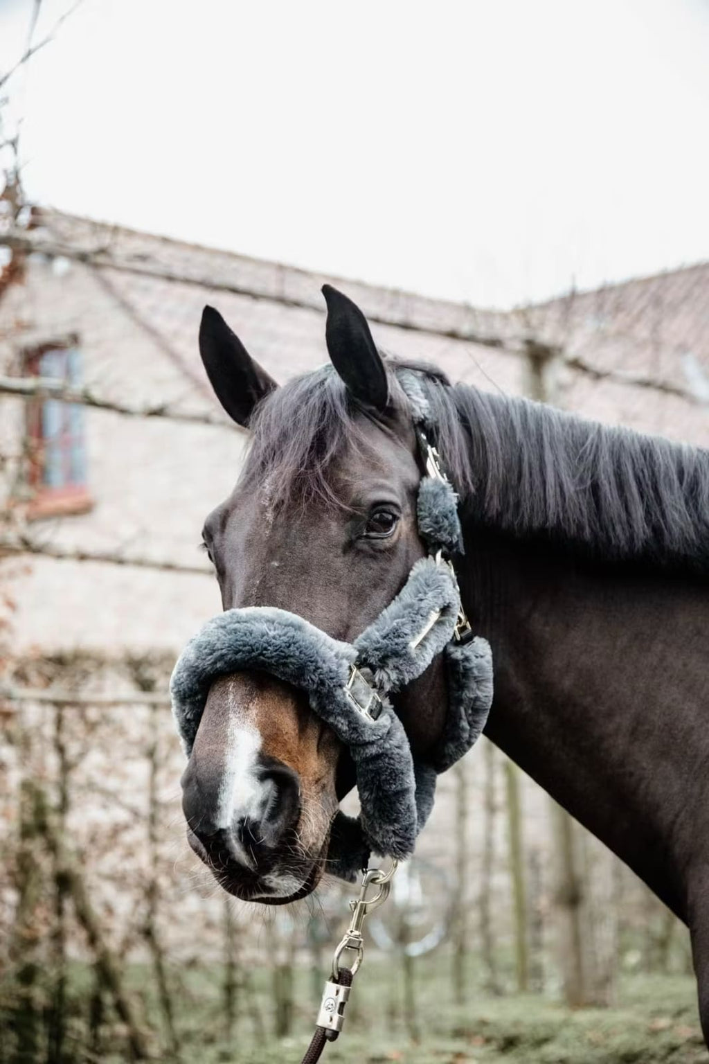 Kentucky Sheepskin Shipping Halter - Løwenborg - Kentucky Horsewear