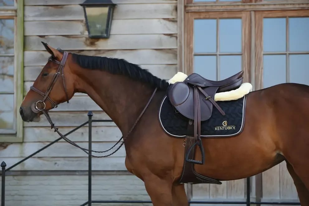 Kentucky Saddle Pad Jumping - Løwenborg - Kentucky Horsewear