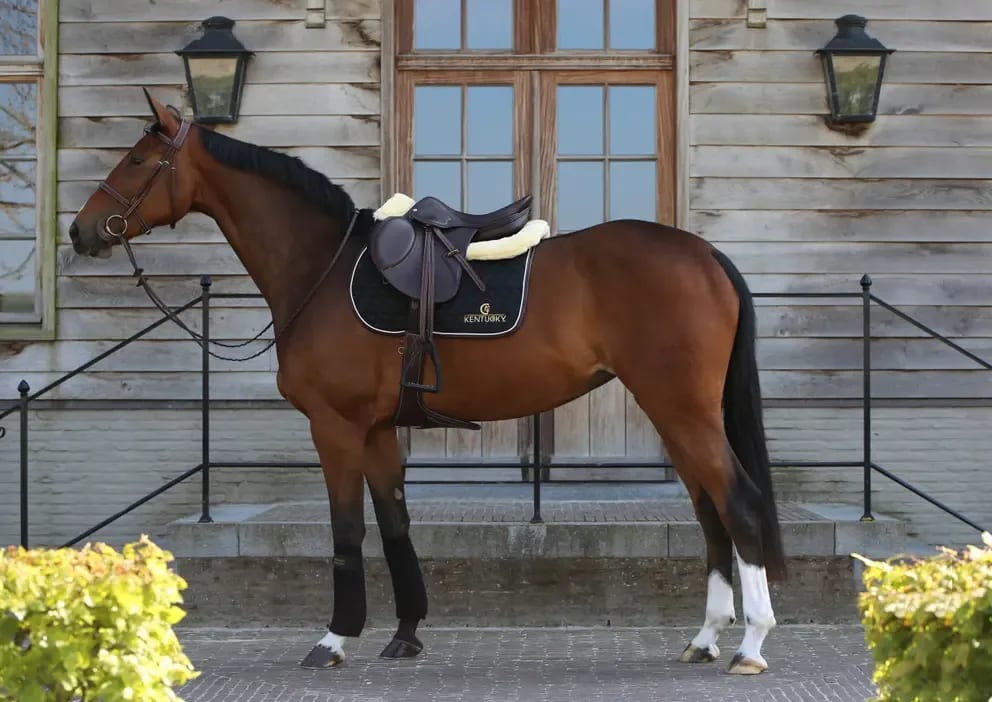 Kentucky Saddle Pad Jumping - Løwenborg - Kentucky Horsewear