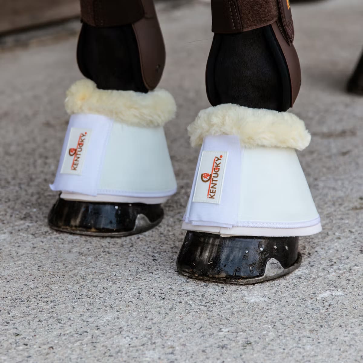 Kentucky Sheepskin Leather Overreach Boots - Løwenborg - Kentucky Horsewear