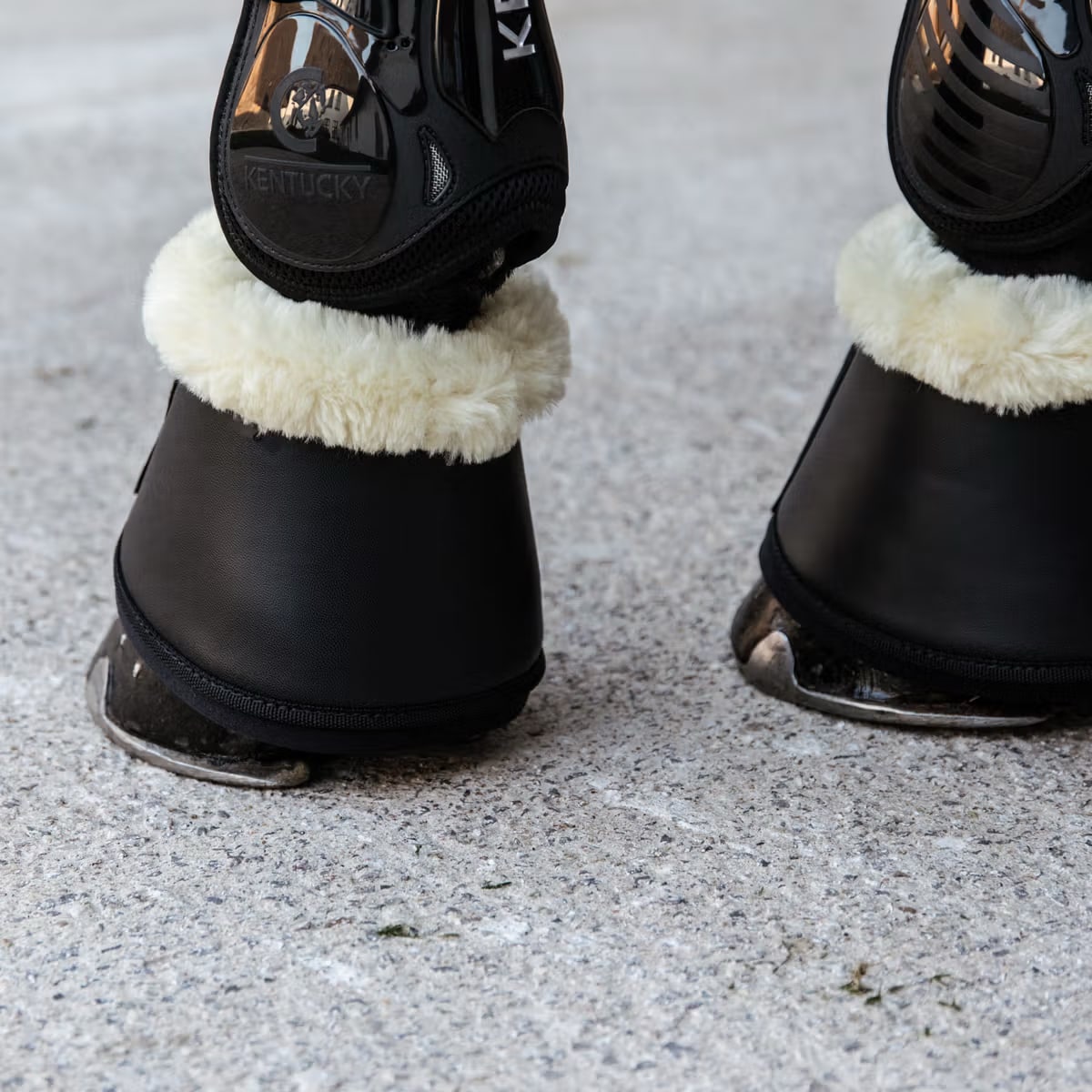 Kentucky Sheepskin Leather Overreach Boots - Løwenborg - Kentucky Horsewear