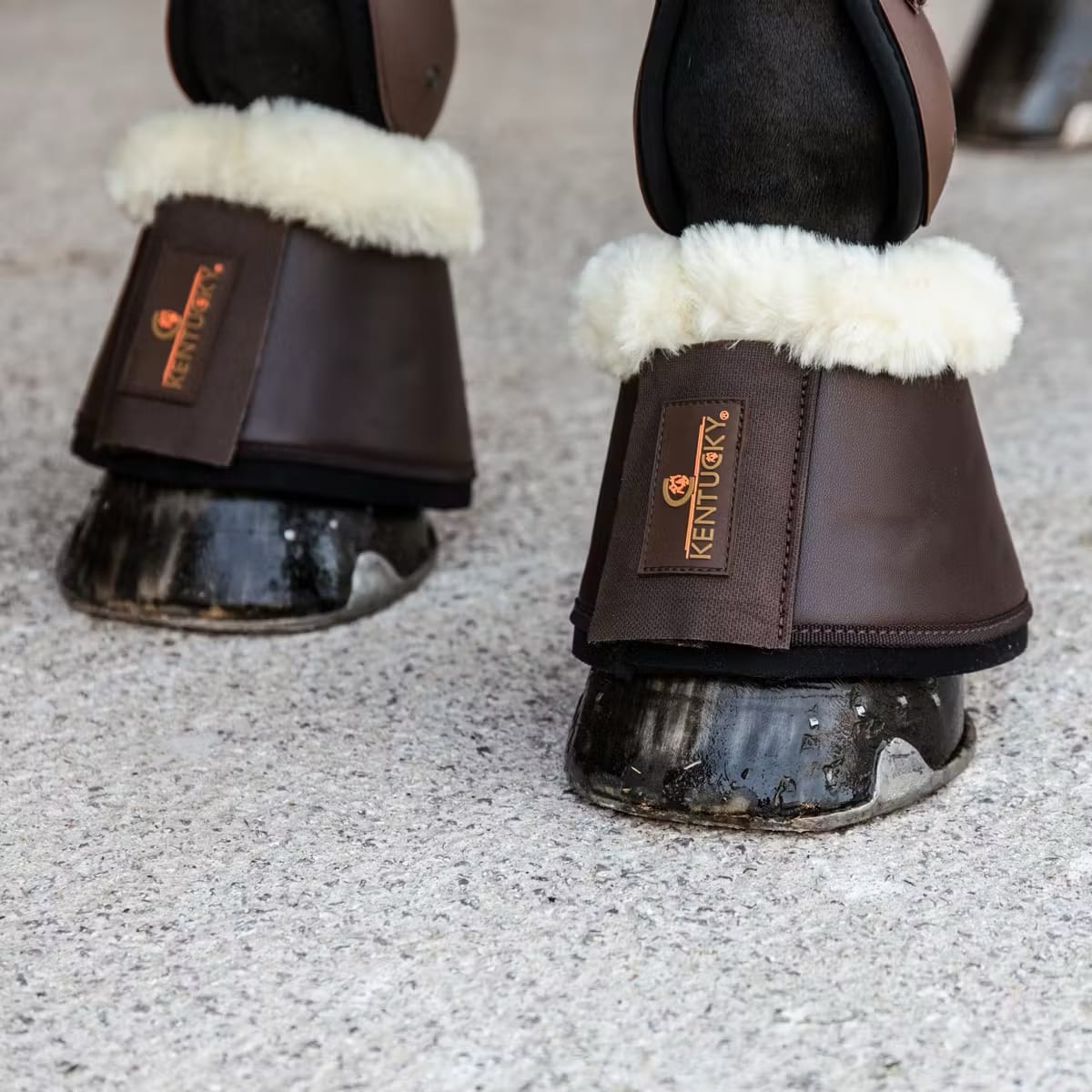 Kentucky Sheepskin Leather Overreach Boots - Løwenborg - Kentucky Horsewear