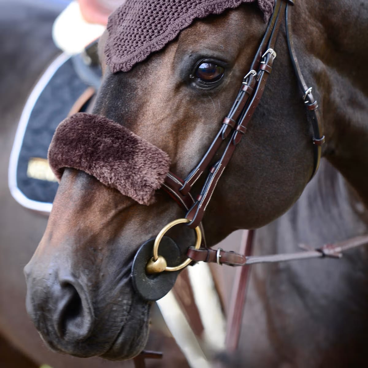 Kentucky Sheepskin Noseband Cover