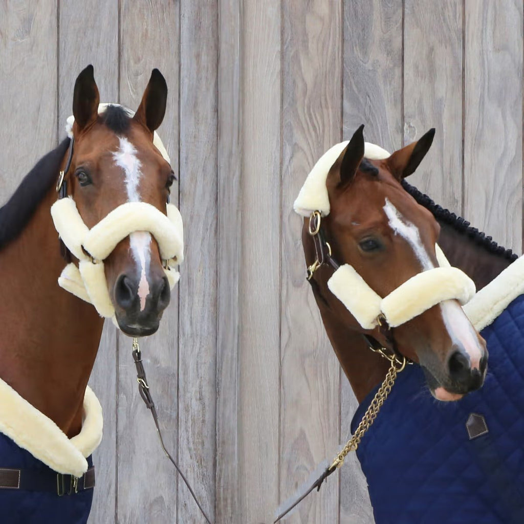 Kentucky Sheepskin Halter Set - Løwenborg - Kentucky Horsewear