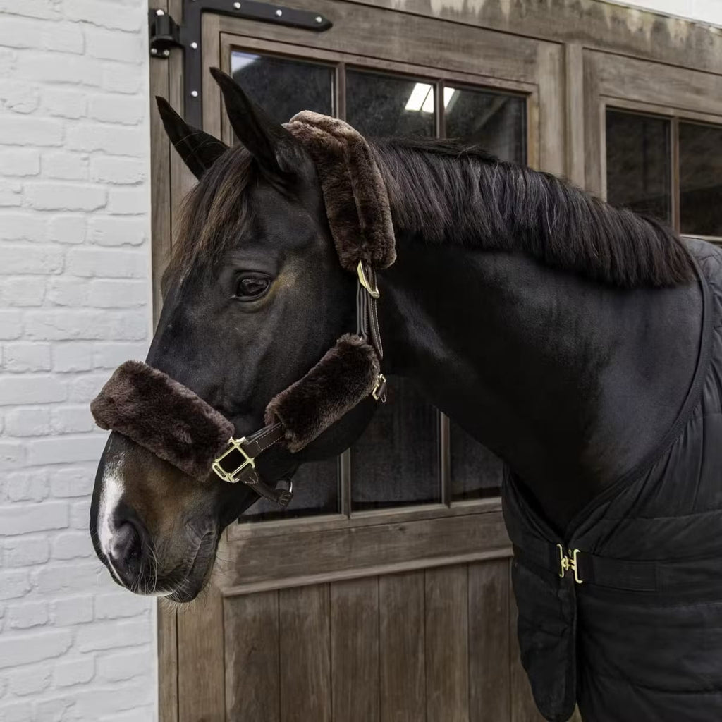 Kentucky Sheepskin Halter Set - Løwenborg - Kentucky Horsewear