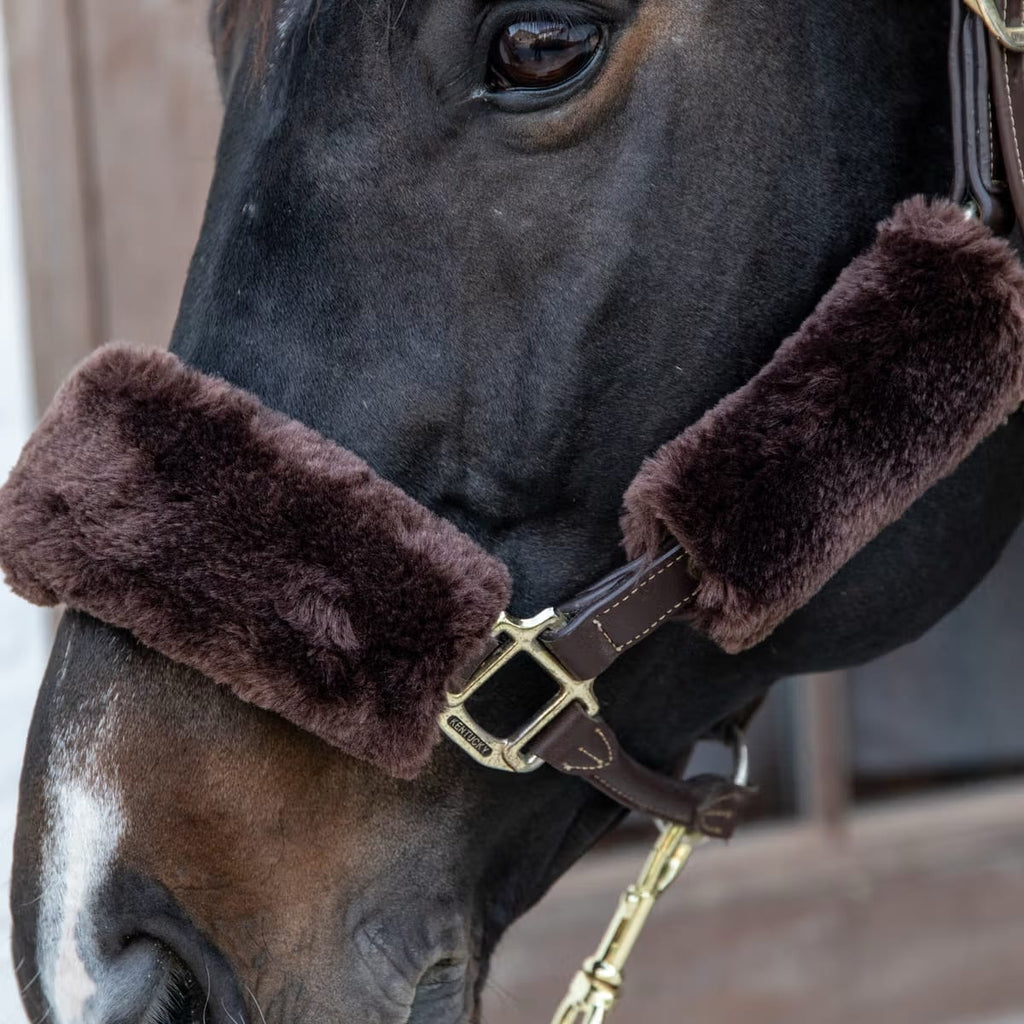 Kentucky Sheepskin Halter Set - Løwenborg - Kentucky Horsewear