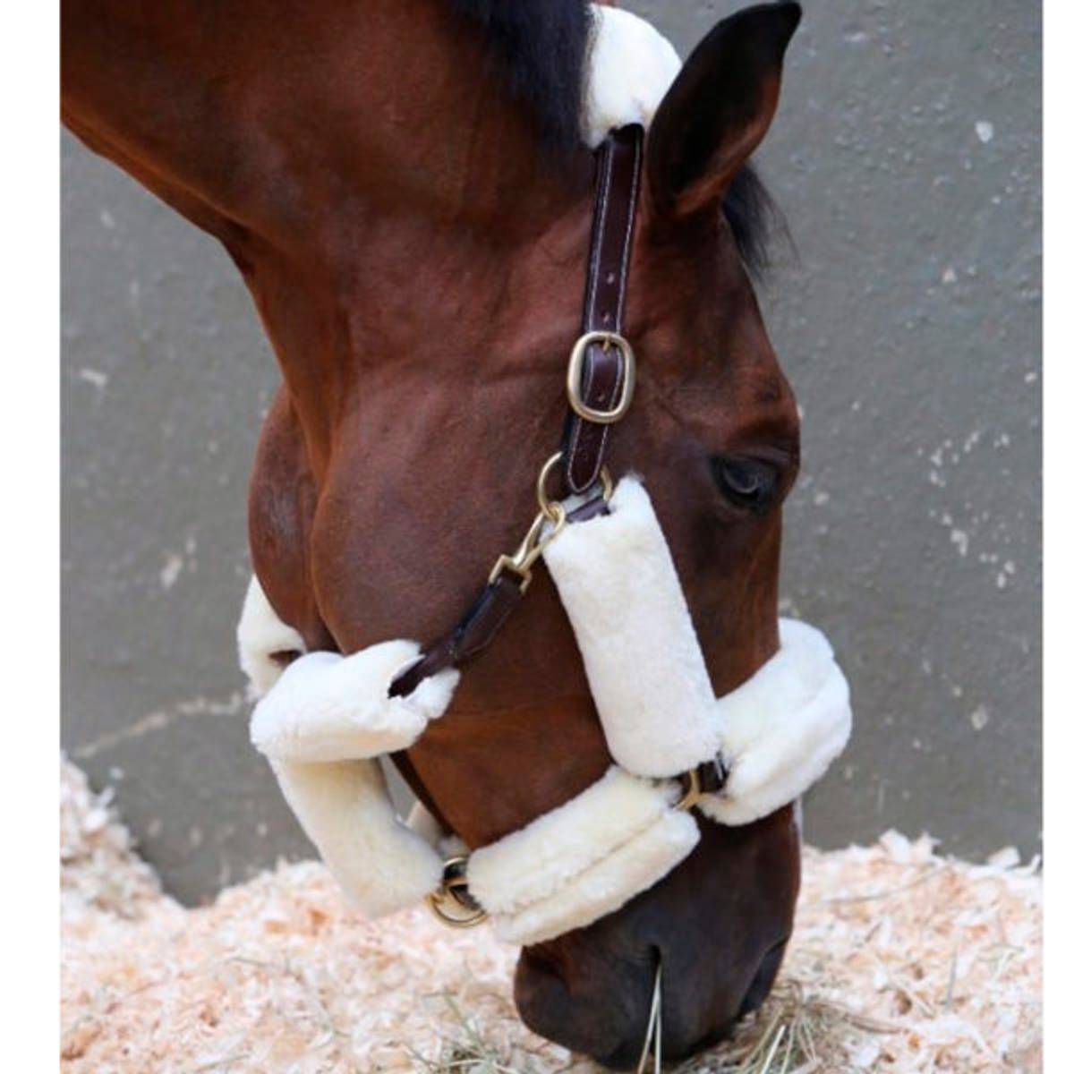 Kentucky Sheepskin Halter Set 9pcs