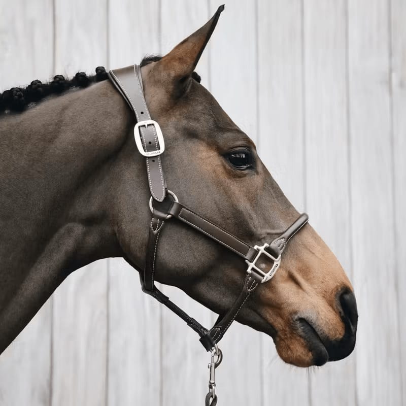 Kentucky Anatomic Leather Halter - Løwenborg - Kentucky Horsewear