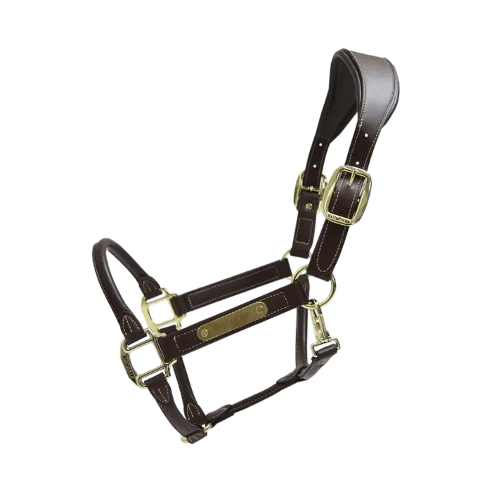 Kentucky Anatomic Leather Halter - Løwenborg - Kentucky Horsewear
