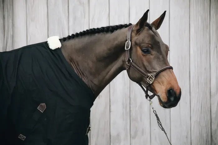 Kentucky Anatomic Leather Halter - Løwenborg - Kentucky Horsewear
