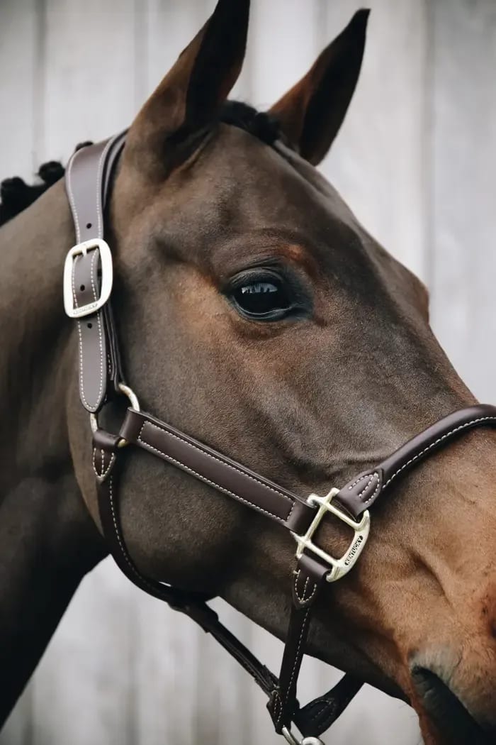 Kentucky Anatomic Leather Halter - Løwenborg - Kentucky Horsewear