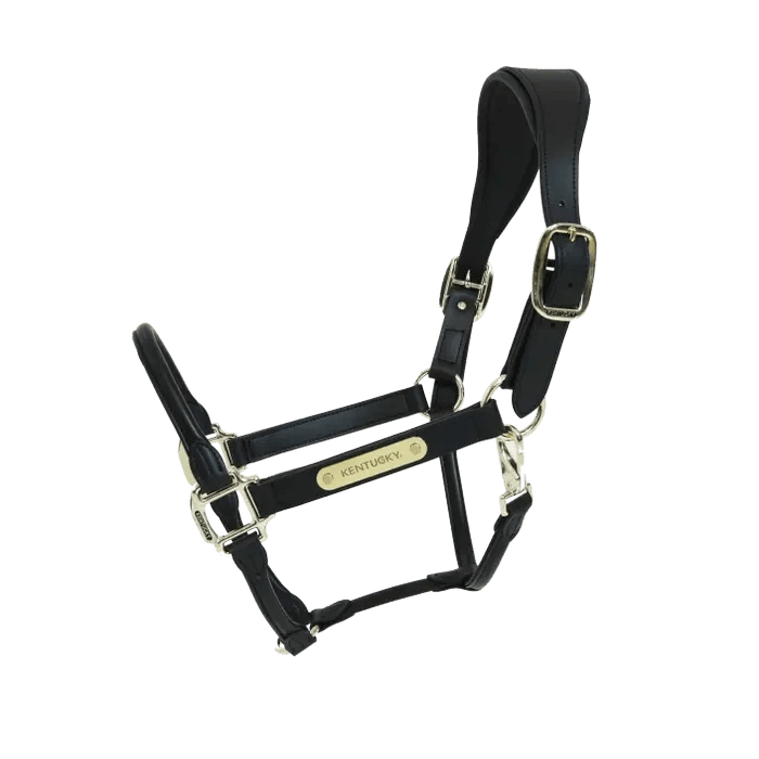 Kentucky Anatomic Leather Halter - Løwenborg - Kentucky Horsewear