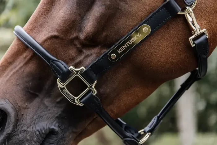 Kentucky Anatomic Leather Halter - Løwenborg - Kentucky Horsewear