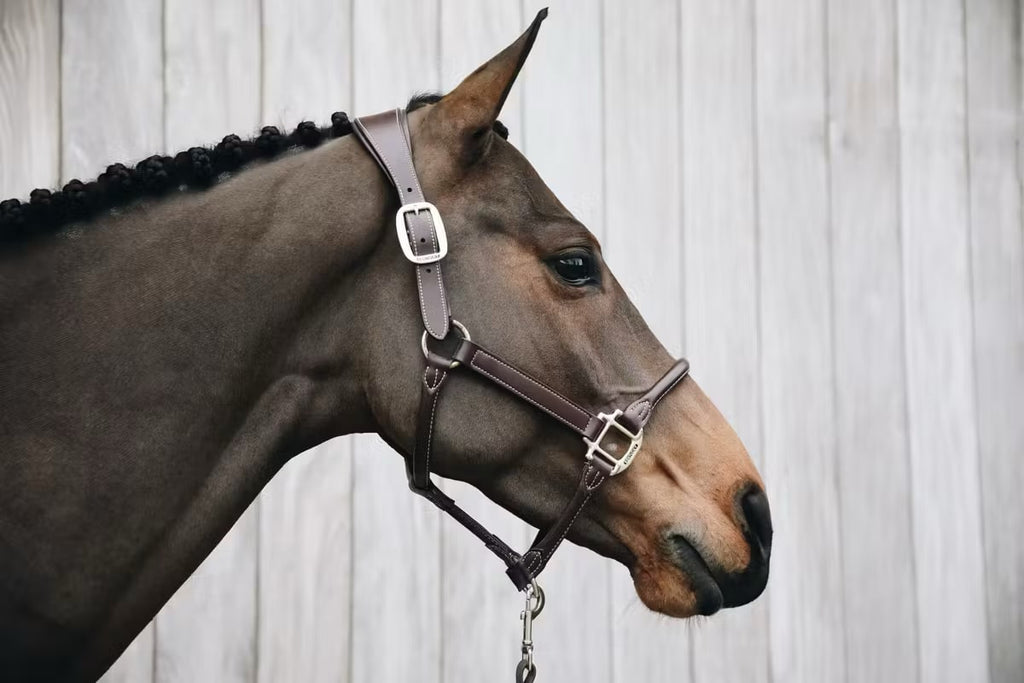 Kentucky Anatomic Leather Halter - Løwenborg - Kentucky Horsewear