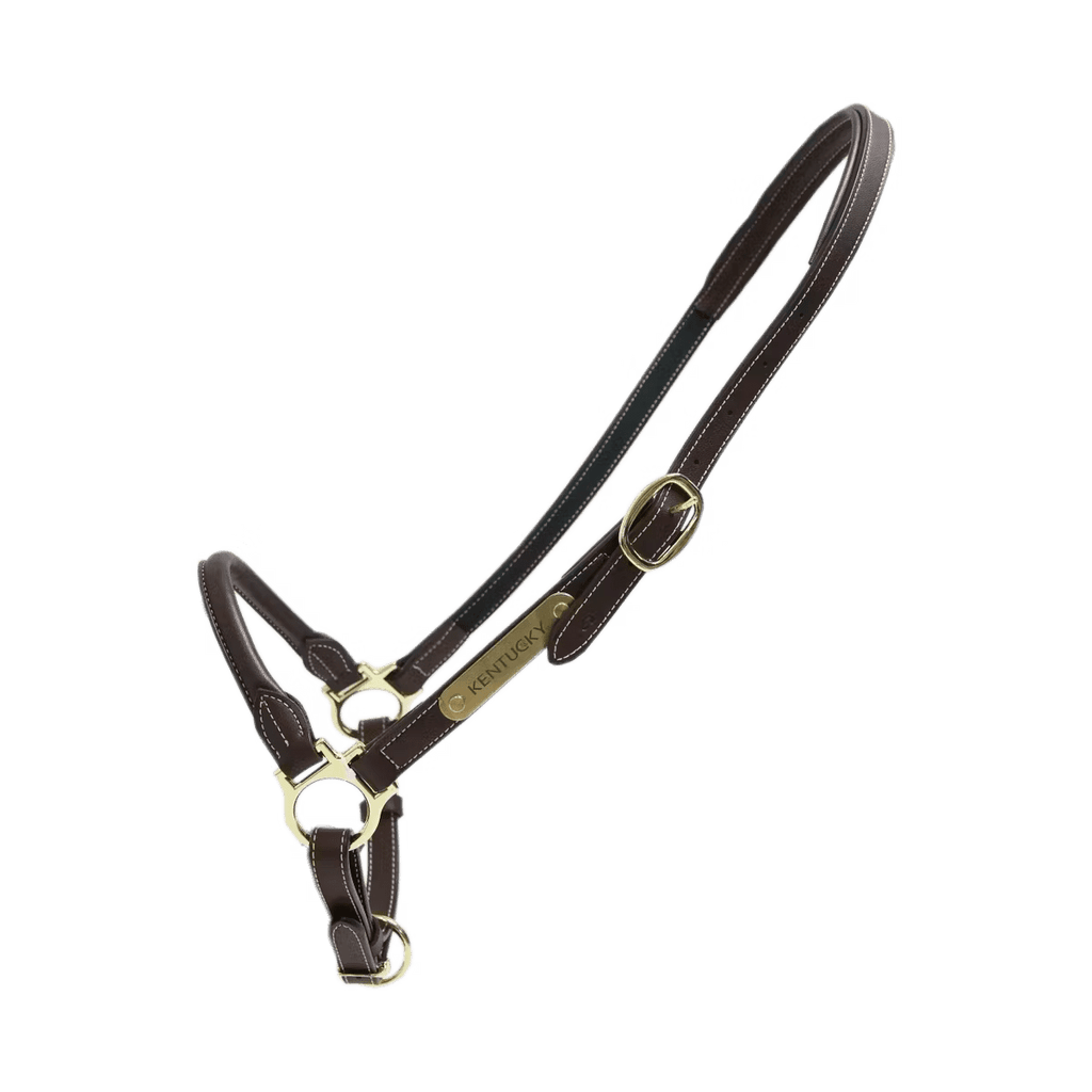 Kentucky Leather Grooming Halter - Løwenborg - Kentucky Horsewear