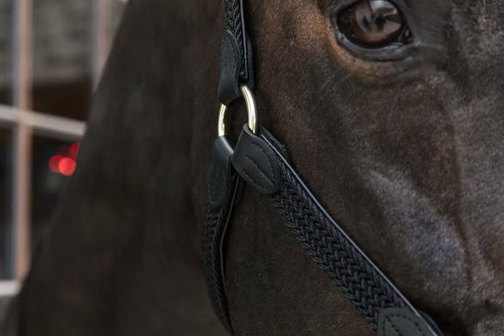 Kentucky Nylon Plaited Halter - Løwenborg - Kentucky Horsewear
