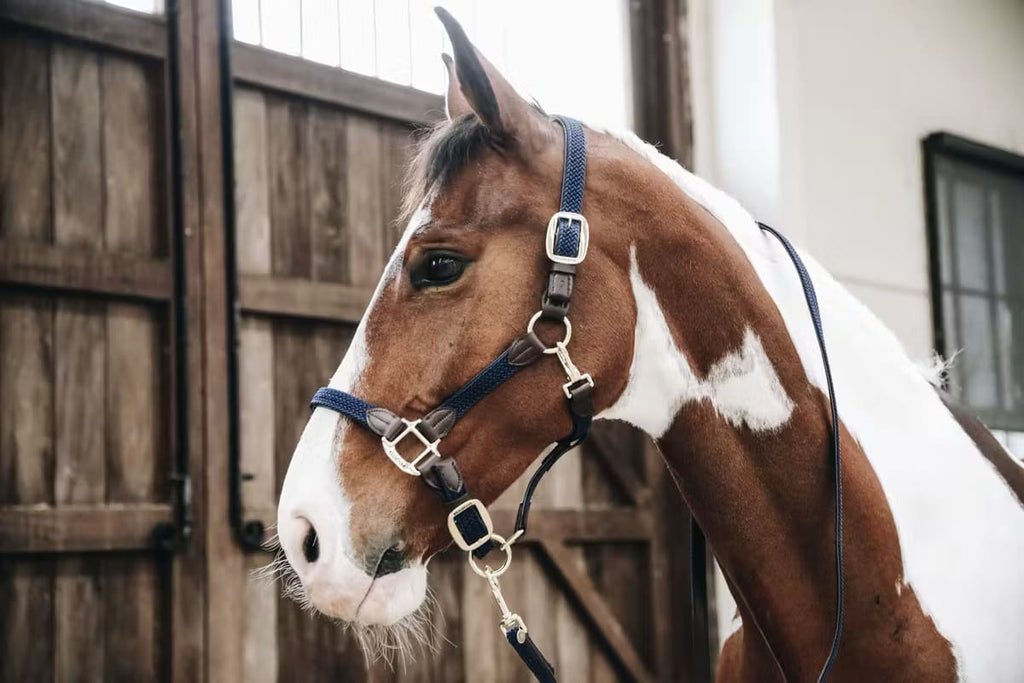Kentucky Nylon Plaited Halter - Løwenborg - Kentucky Horsewear