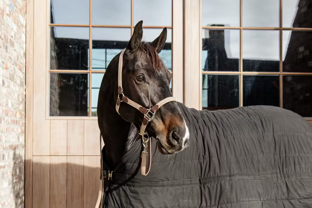 Kentucky Nylon Plaited Halter - Løwenborg - Kentucky Horsewear