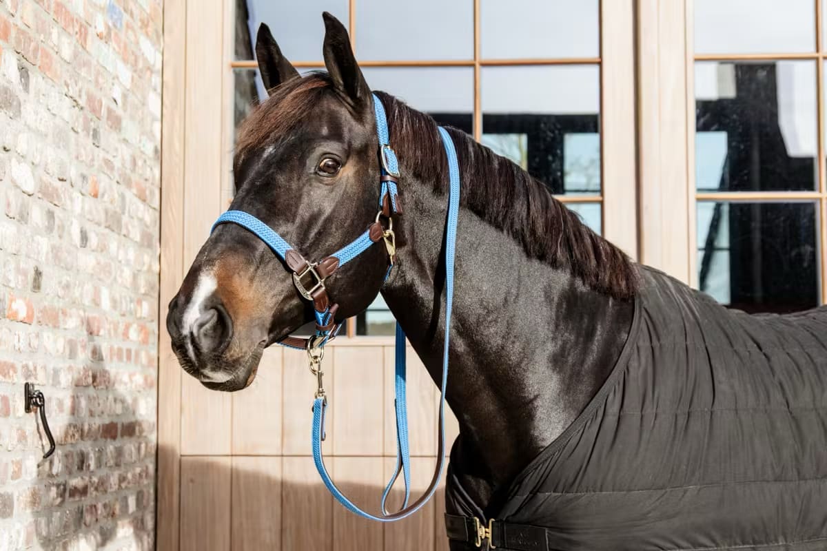 Kentucky Nylon Plaited Halter - Løwenborg - Kentucky Horsewear