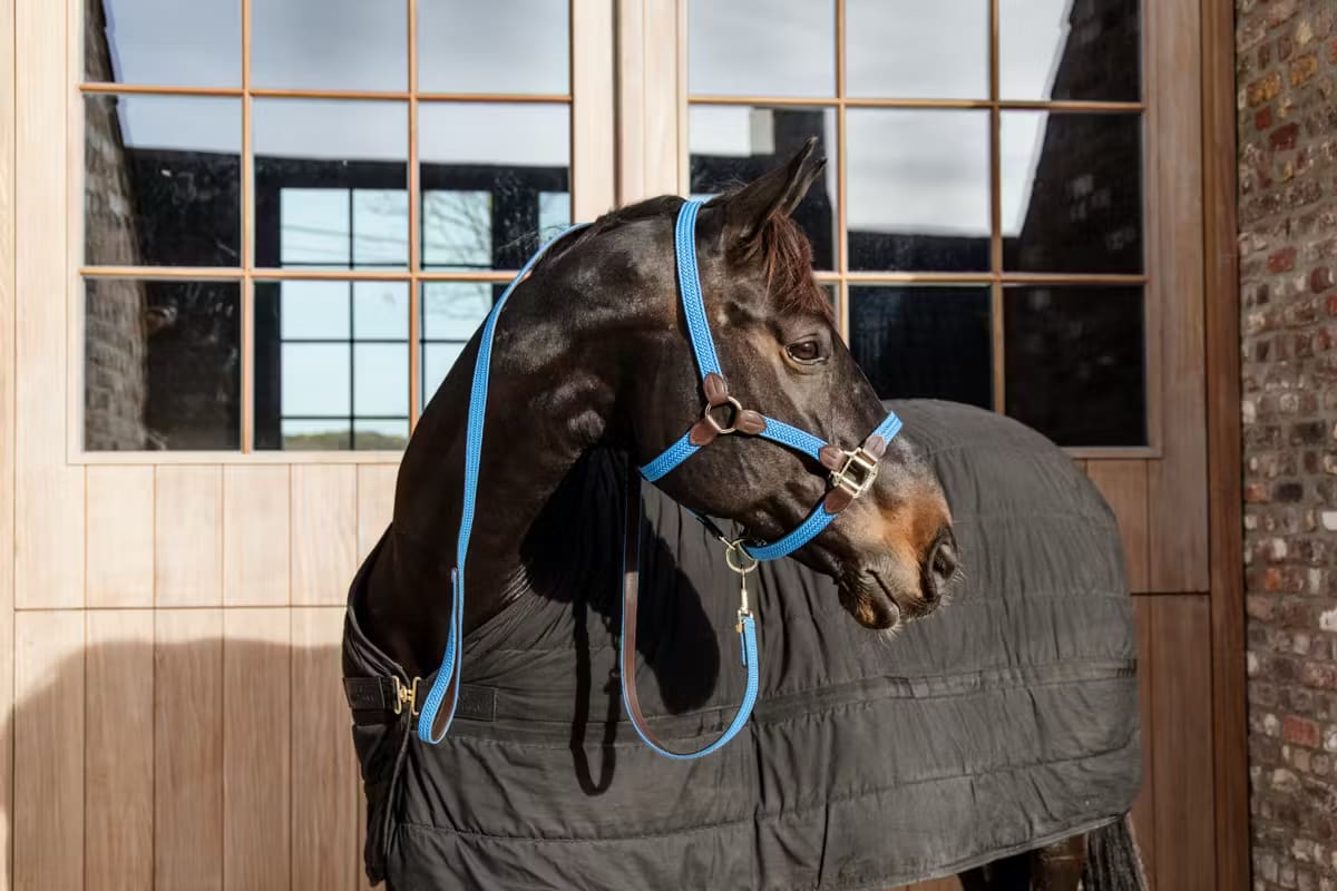 Kentucky Nylon Plaited Halter - Løwenborg - Kentucky Horsewear