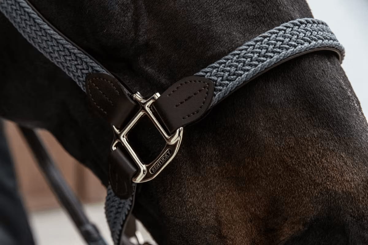 Kentucky Nylon Plaited Halter - Løwenborg - Kentucky Horsewear