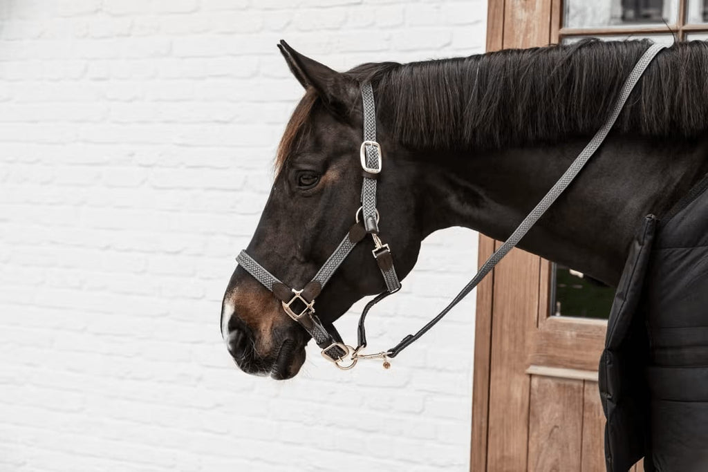 Kentucky Nylon Plaited Halter - Løwenborg - Kentucky Horsewear