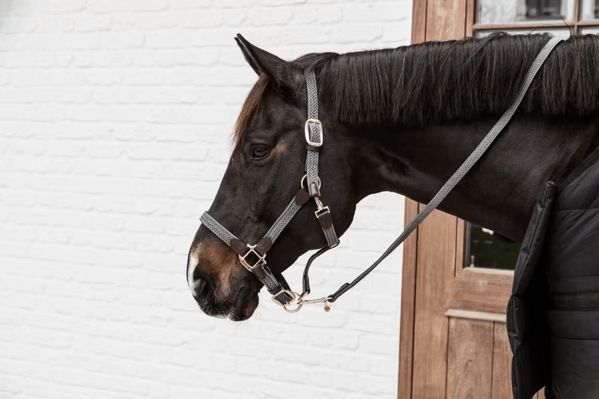 Kentucky Nylon Plaited Halter - Løwenborg - Kentucky Horsewear